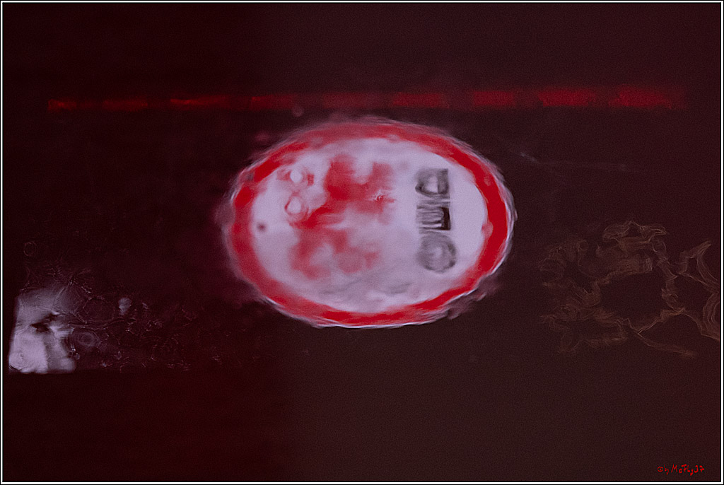 PENNY DEL 1; Düsseldorfer EG - Kölner Haie; Düsseldorf, 24.01.2025